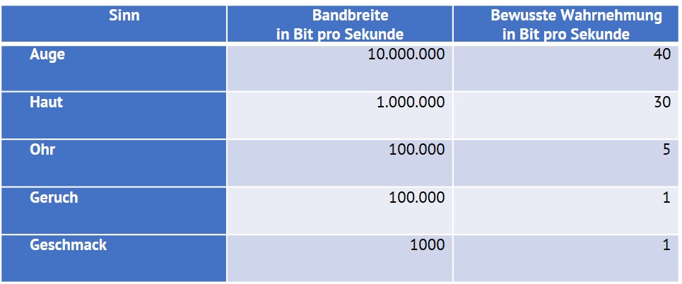 Grafik Noerretranders Wahrnehmung